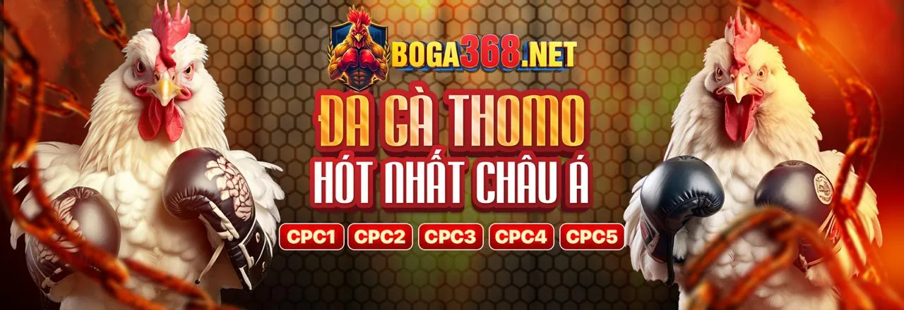 Nền tảng cá cược trực tuyến rrr88