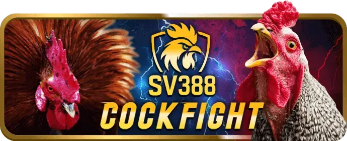 Cách rrr88 thu thập, xử lý và bảo vệ dữ liệu người dùng
